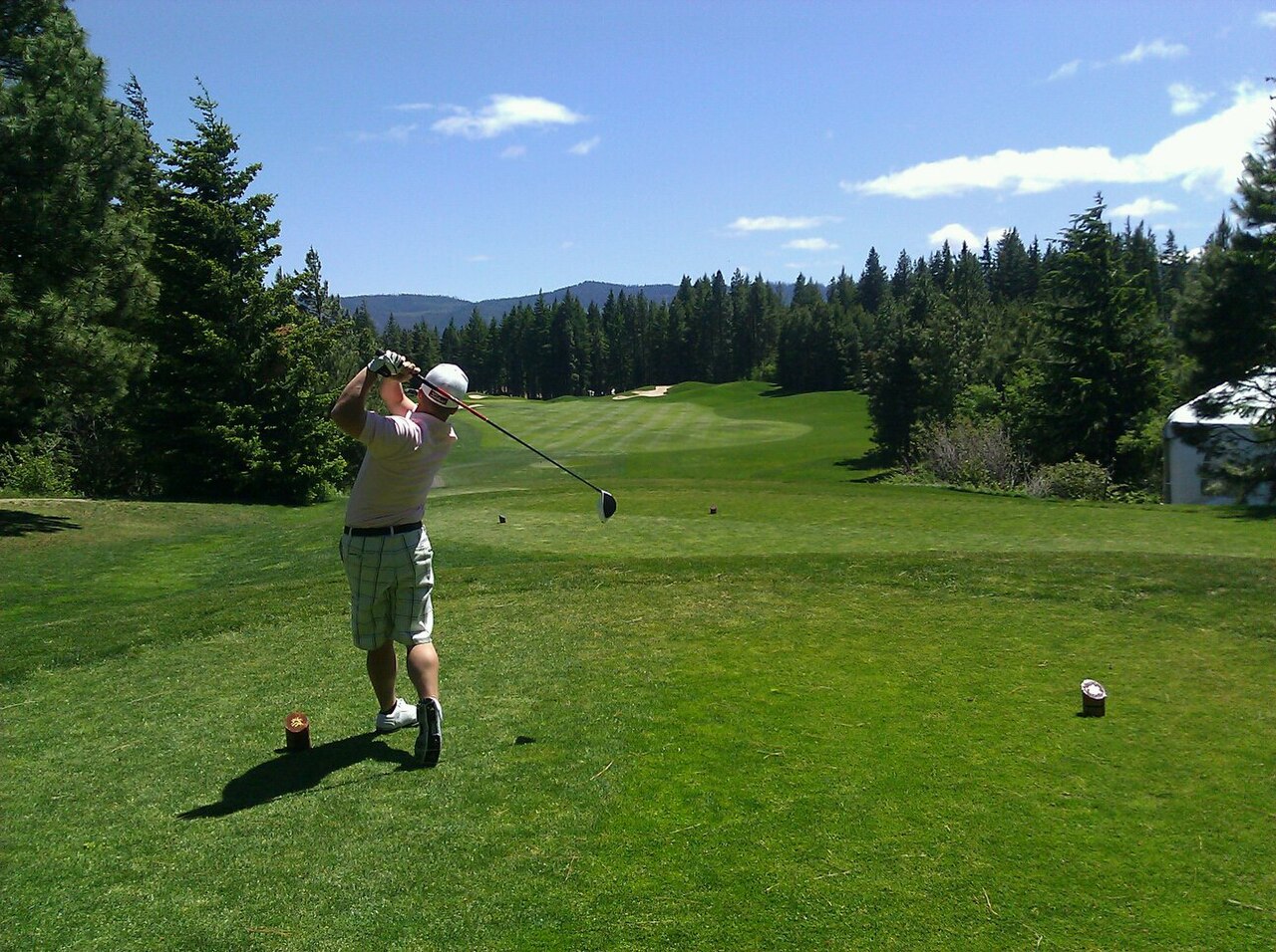 Golf tee shot