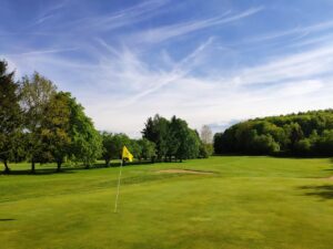 Trivia intermedia de golf