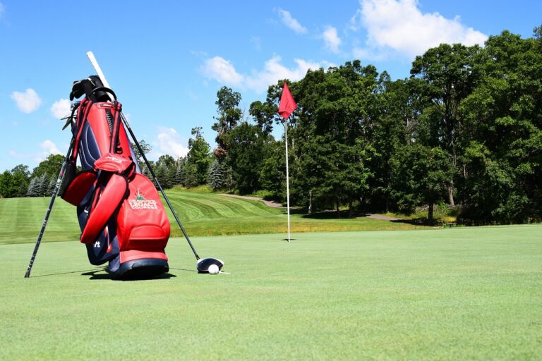 set completo mejores palos de golf