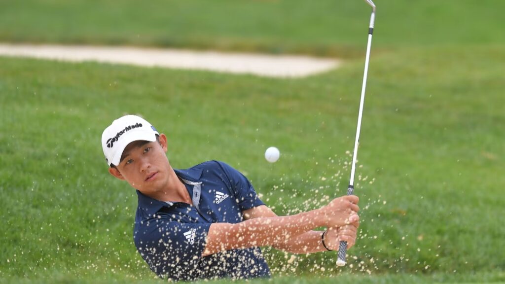 Que pelotas de golf comprar - Collin Morikawa Taylor Made